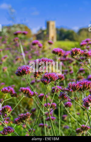 Motivi della corte croome Sede statali Foto Stock