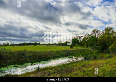 Motivi della corte croome Sede statali Foto Stock