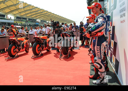 Sepang, Malesia. 25 ott 2014. Jorge Lorenzo di Movistar Yamaha Racing al parc ferme al termine della sessione di qualifica del Malaysian Motorcycle Grand Prix tenutosi al Sepang International Circuit di Sepang, in Malesia. Credito: Azione Sport Plus/Alamy Live News Foto Stock