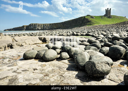 Massi rotondi sotto il castello di Dunstanburgh in Northumberland. Lilburn torre sulla cima di una scogliera drammatico. Foto Stock