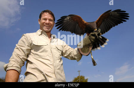 Fauna selvatica TV presentatore Steve Backshall promuove la sua "antenna eadly Assassins' mostrano con l aiuto di un Lanner Falcon, aquila calva e 'Tulsa' Harris Hawk a ZSL Whipsnade Zoo, Bedfordshire dotate: Steve Backshall dove: Londra, Regno Unito quando: 23 Apr 2014 Foto Stock