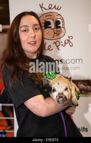 Città evento, Manchester, UK 26 Ottobre, 2014. Kathrine Costillo (Kew Little Pigs) azienda micro suino in EventCity, adiacente al Trafford Centre. Foto Stock