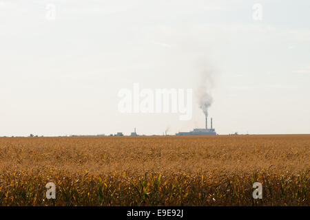 Ampia vista del campo marrone con fumo dalla fabbrica lontano su Blu chiaro cielo grigio Sfondo. Foto Stock