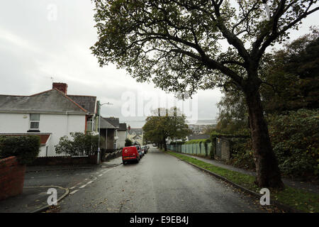 Swansea, Regno Unito. Venerdì 24 ottobre 2014 Cwmdonkin Drive, Swansea affacciato verso Mumbles Re: Quest anno segna il centenario di Dylan Thomas' nascita il 28 ottobre 2014 con eventi presso la casa natale dello scrittore e poeta Dylan Thomas a 5 unità Cwmdonkin, Swansea, South Wales, Regno Unito. Credito: D Legakis/Alamy Live News Foto Stock