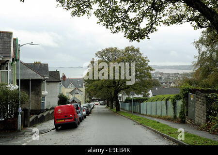 Swansea, Regno Unito. Venerdì 24 ottobre 2014 Cwmdonkin Drive, Swansea affacciato verso Mumbles Re: Quest anno segna il centenario di Dylan Thomas' nascita il 28 ottobre 2014 con eventi presso la casa natale dello scrittore e poeta Dylan Thomas a 5 unità Cwmdonkin, Swansea, South Wales, Regno Unito. Credito: D Legakis/Alamy Live News Foto Stock