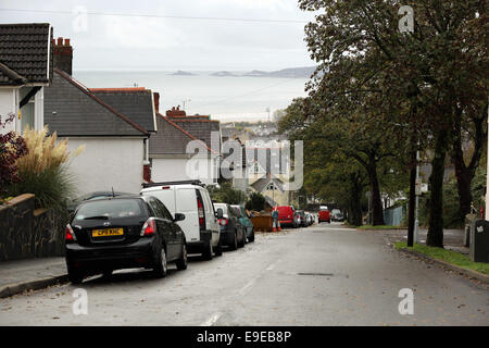 Swansea, Regno Unito. Venerdì 24 ottobre 2014 Cwmdonkin Drive, Swansea affacciato verso Mumbles Re: Quest anno segna il centenario di Dylan Thomas' nascita il 28 ottobre 2014 con eventi presso la casa natale dello scrittore e poeta Dylan Thomas a 5 unità Cwmdonkin, Swansea, South Wales, Regno Unito. Credito: D Legakis/Alamy Live News Foto Stock