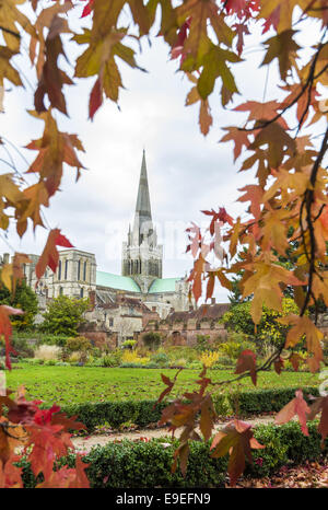 Chichester Cathedral visto dal Palazzo del Vescovo giardini circondati da autunno foglie di acero Foto Stock