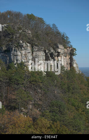 Cliff di pilota di montagna, NC. Parco dello stato Foto Stock