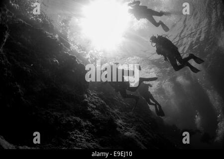 Scogliera rocciosa parete con un gruppo di sub in Wied iz-Zurrieq, Malta, Mare Mediterraneo. Foto Stock