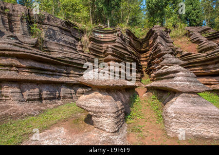 Redstone scenario della foresta di Zhangjiajie , provincia di Hunan Foto Stock