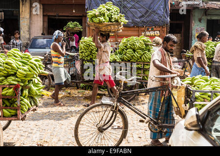 Commercio all'ingrosso Mercato della Frutta, Calcutta, West Bengal, India Foto Stock