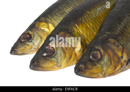 Pesce affumicato isolati su sfondo bianco Foto Stock