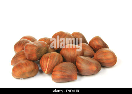 Le castagne (Castanea sativa) Foto Stock