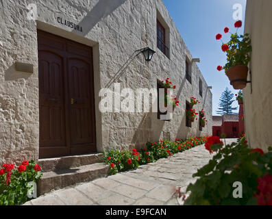 Abbey dipinte di bianco con fiori di colore rosso Foto Stock