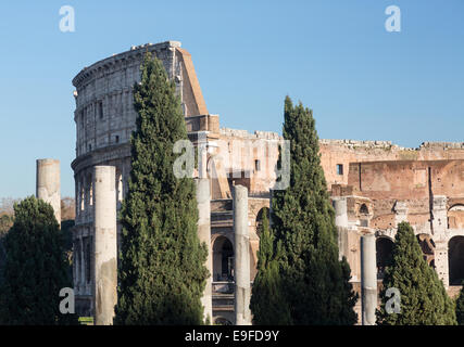 Dettagli Colosseo a Roma Foto Stock