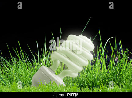 Eco-friendly lampadina giacente in erba Foto Stock