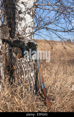 Gioco di pistola e il gallo forcello Foto Stock