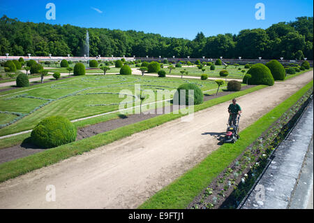 Un giardiniere in Diane's Garden, Chateau de Chenonceau, Indre-et-Loire, Francia. Foto Stock