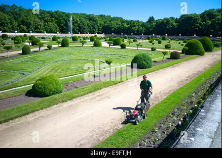 Un giardiniere in Diane's Garden, Chateau de Chenonceau, Indre-et-Loire, Francia. Foto Stock