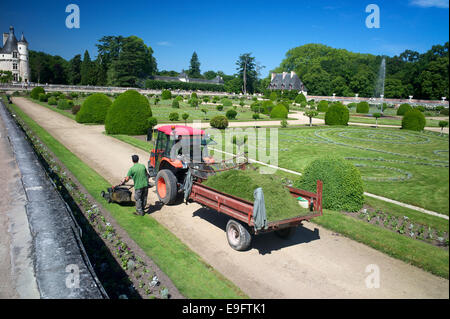 Un giardiniere in Diane's Garden, Chateau de Chenonceau, Indre-et-Loire, Francia. Foto Stock