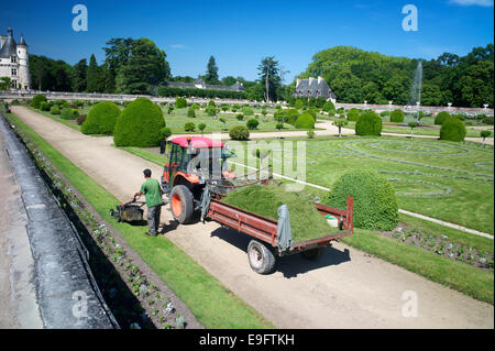 Un giardiniere in Diane's Garden, Chateau de Chenonceau, Indre-et-Loire, Francia. Foto Stock