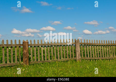 Cielo blu, erba verde e la recinzione Foto Stock