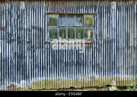 Finestra di un vecchio ferro corrugato farm barn, Herefordshire, Regno Unito Foto Stock