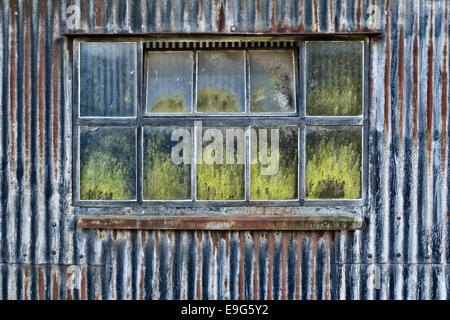 Finestra di un vecchio ferro corrugato farm barn, Herefordshire, Regno Unito Foto Stock