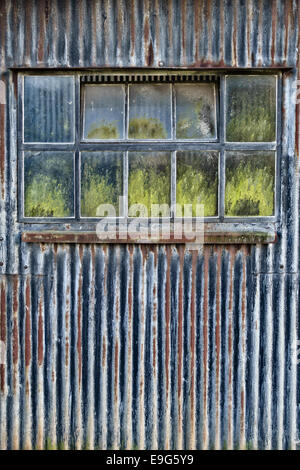 Finestra di un vecchio ferro corrugato farm barn, Herefordshire, Regno Unito Foto Stock