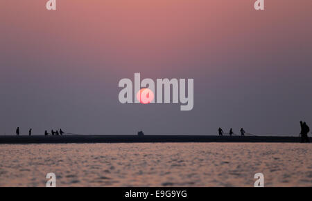 Alba sul mare con uccelli in volo a Kuakata, Bangladesh Foto Stock