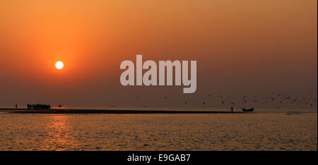 Alba sul mare con uccelli in volo a Kuakata, Bangladesh Foto Stock