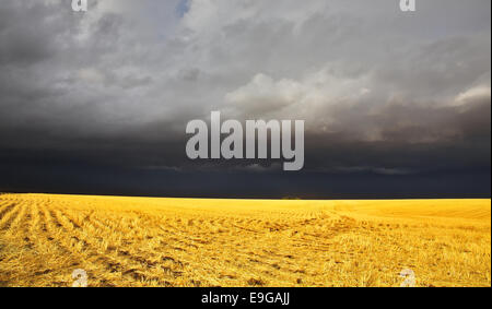 Il temporale in una campagna Foto Stock