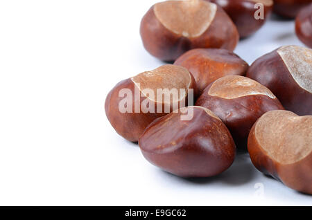 Le castagne isolati su sfondo bianco Foto Stock