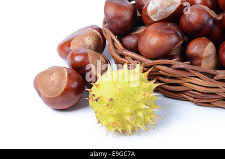 Le castagne isolati su sfondo bianco Foto Stock