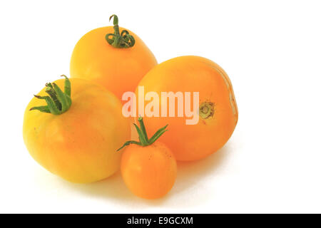 Giallo (pomodori Solanum Lycopersicum) Foto Stock