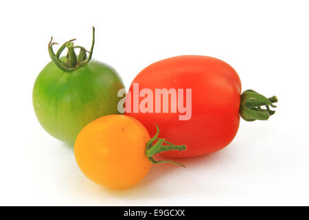 Tre varietà di pomodoro (Solanum Lycopersicum) Foto Stock