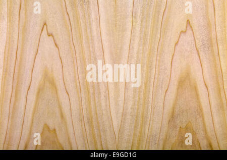Acero naturale texture di legno come sfondo Foto Stock