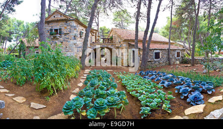 Villaggio di pietra giardino con verdure Foto Stock