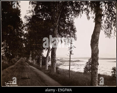 Questa fotografia del 1905 di Anders Beer Wilse mostra la splendida vista di Fanestranden a Molde, Norvegia. La foto cattura il maestoso paesaggio di Møre og Romsdal, evidenziando la bellezza naturale della regione. Foto Stock