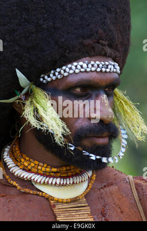 Ritratto di un Tribesman di Enga Provincia Foto Stock