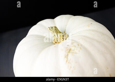 Fresche biologiche zucche dal locale mercato degli agricoltori. Foto Stock