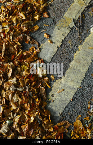 Foglie di autunno raccogliere oltre il doppio di linee gialle sulla strada Foto Stock