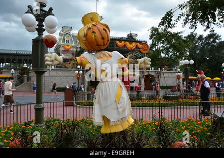 Decorazioni di Zucca di Halloween presso il Regno Magico di Disney,Orlando in Florida. Foto Stock