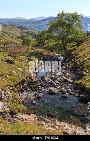 Ruscello di montagna sulla Honister Pass in Borrowdale, Parco Nazionale del Distretto dei Laghi, Cumbria, England, Regno Unito Foto Stock