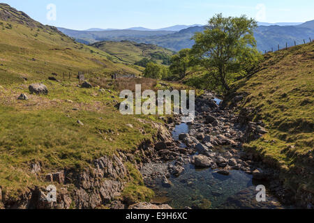 Ruscello di montagna sulla Honister Pass in Borrowdale, Parco Nazionale del Distretto dei Laghi, Cumbria, England, Regno Unito Foto Stock