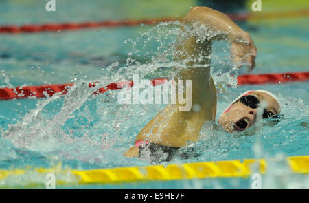 Tokyo, Giappone. 28 ott 2014. Spagna Mireiya Belmonte compete in campo femminile 800m Freestyle calore al nuoto FINA di Coppa del Mondo a Tokyo, Giappone, 28 ottobre 2014. Credito: Stringer/Xinhua/Alamy Live News Foto Stock