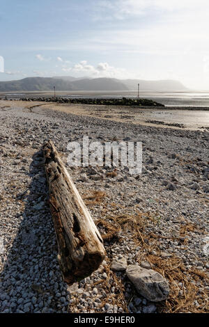 Parte superiore della spiaggia la Sponda Occidentale, Llandudno, il Galles del Nord, guardando ad ovest verso le montagne di Snowdonia con driftwood in primo piano. Foto Stock