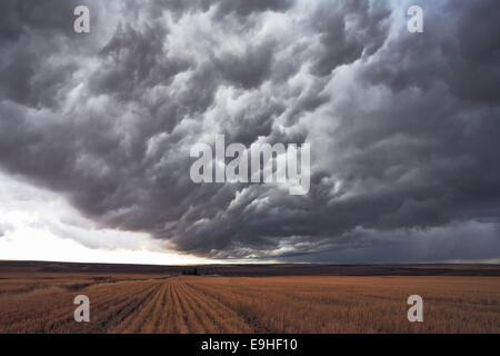 L'enorme nube di tempesta Foto Stock