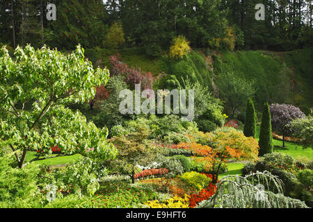 La tecnica di giardinaggio - Butchard - giardino Foto Stock