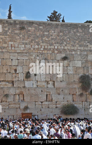 Le preghiere del mattino su Sukkot Foto Stock